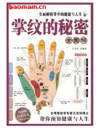 掌纹的秘密全图解_pdf电子书_作者: 王宝玲 电子书 第1张-7B4电子书 掌纹的秘密全图解_pdf电子书_作者: 王宝玲