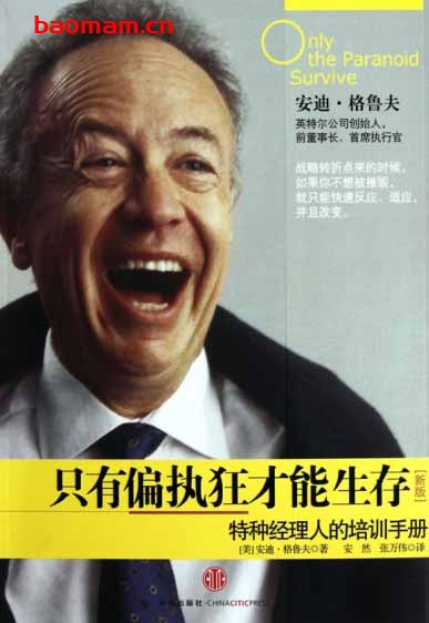 只有偏执狂才能生存-作者:  [美] 安迪·格鲁夫-PDF电子书