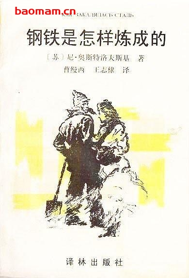 钢铁是怎样炼成的-作者:   [苏联] 尼古拉·阿列克谢耶维奇·奥斯特洛夫斯基-PDF电子书