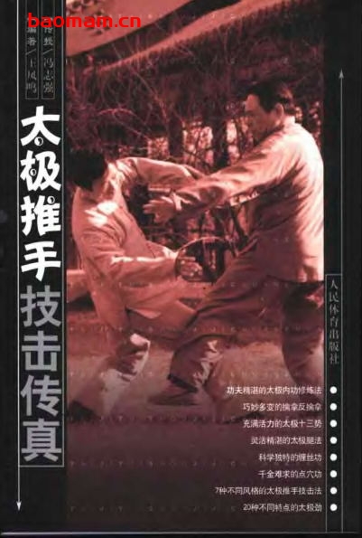 太极推手技击传真-作者: 王凤鸣-PDF电子书 兴趣爱好 第1张-7B4电子书 太极推手技击传真-作者: 王凤鸣-PDF电子书