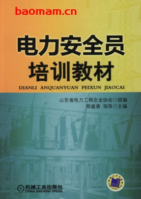电力安全员培训教材-作者： 邢道清-PDF电子书
