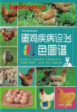 蛋鸡疾病诊治彩色图谱-作者： 谷风柱-PDF电子书