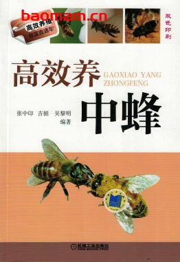 高效养中蜂-作者： 张中印-PDF电子书