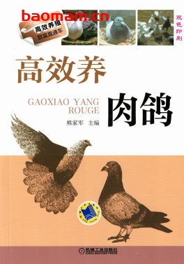 高效养肉鸽-作者： 熊家军-PDF电子书