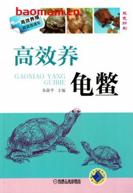 高效养龟鳖-作者： 朱新平 主编-PDF电子书
