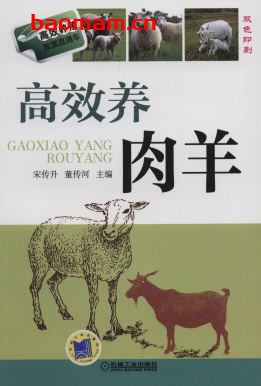 高效养肉羊-作者： 宋传升    董传河-PDF电子书