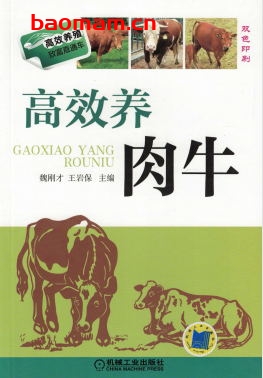 高效养肉牛-作者： 魏刚才-PDF电子书