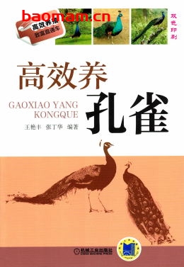 高效养孔雀-作者: 王艳丰-PDF电子书 电子书 第1张-7B4电子书 高效养孔雀-作者: 王艳丰-PDF电子书