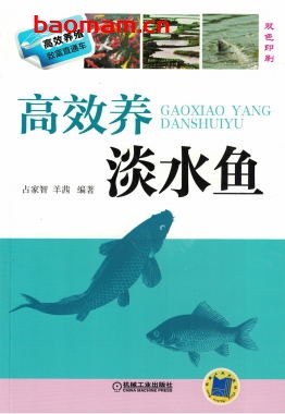 高效养淡水鱼-作者： 占家智-PDF电子书