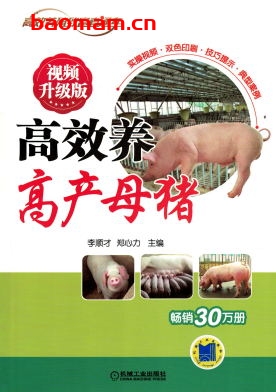 高效养高产母猪_视频升级版-作者： 李顺才-PDF电子书