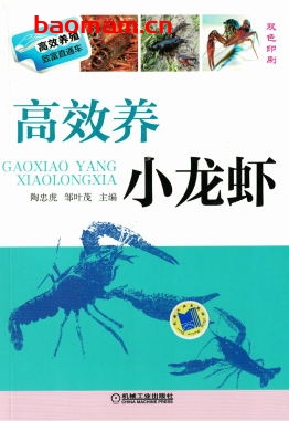 高效养小龙虾-作者： 陶忠虎/邹叶茂-PDF电子书