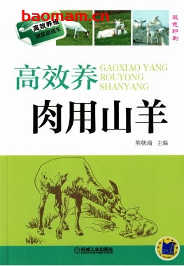 高效养肉用山羊-作者： 熊朝瑞-PDF电子书