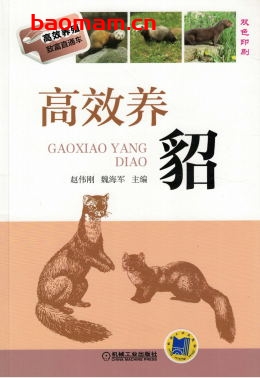 高效养貂-作者: 赵伟刚 魏海军-PDF电子书 电子书 第1张-7B4电子书 高效养貂-作者: 赵伟刚 魏海军-PDF电子书