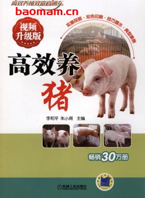 高效养猪_视频升级版-作者: 李和平 朱小甫-PDF电子书 电子书 第1张-7B4电子书 高效养猪_视频升级版-作者: 李和平 朱小甫-PDF电子书