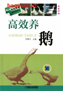 高效养鹅-作者: 李顺才-PDF电子书 电子书 第1张-7B4电子书 高效养鹅-作者: 李顺才-PDF电子书