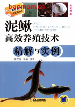 泥鳅高效养殖技术精解与实例-作者： 徐在宽 /徐青-PDF电子书