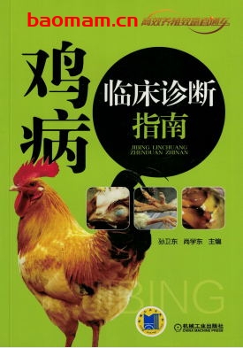 鸡病临床诊断指南-PDF电子书 电子书 第1张-7B4电子书 鸡病临床诊断指南-PDF电子书