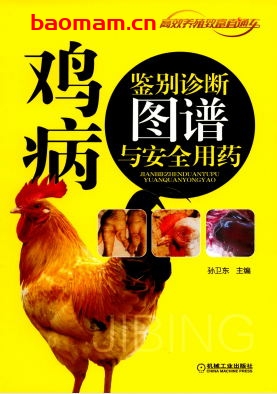 鸡病鉴别诊断图谱与安全用药-作者： 孙卫东-PDF电子书