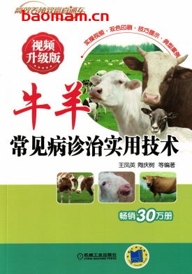 牛羊常见病诊治实用技术_视频升级版-作者: 王凤英-PDF电子书 电子书 第1张-7B4电子书 牛羊常见病诊治实用技术_视频升级版-作者: 王凤英-PDF电子书