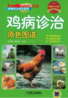 鸡病诊治原色图谱-作者: 孙卫东-PDF电子书 电子书 第1张-7B4电子书 鸡病诊治原色图谱-作者: 孙卫东-PDF电子书