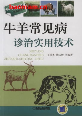 牛羊常见病诊治实用技术-作者: 王凤英/陶庆树-PDF电子书 电子书 第1张-7B4电子书 牛羊常见病诊治实用技术-作者: 王凤英/陶庆树-PDF电子书