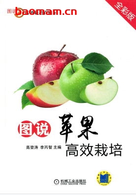 图说苹果高效栽培（全彩版）-作者： 高登涛-PDF电子书