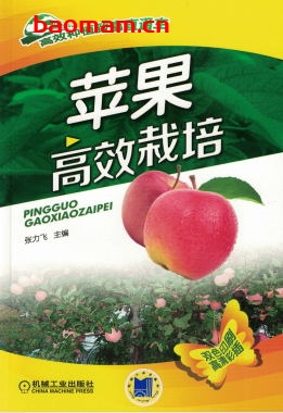 苹果高效栽培-作者: 张力飞-PDF电子书 电子书 第1张-7B4电子书 苹果高效栽培-作者: 张力飞-PDF电子书
