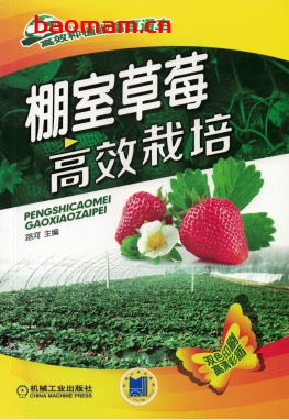 棚室草莓高效栽培-作者: 路河-PDF电子书 电子书 第1张-7B4电子书 棚室草莓高效栽培-作者: 路河-PDF电子书