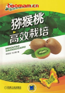 猕猴桃高效栽培-作者: 郁俊谊/刘占德-PDF电子书 电子书 第1张-7B4电子书 猕猴桃高效栽培-作者: 郁俊谊/刘占德-PDF电子书