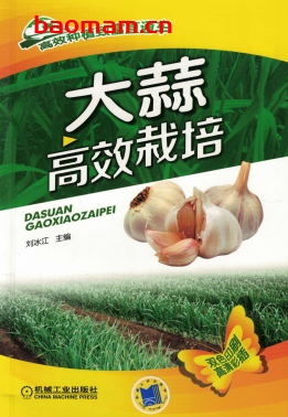 大蒜高效栽培-作者: 刘冰江-PDF电子书 电子书 第1张-7B4电子书 大蒜高效栽培-作者: 刘冰江-PDF电子书