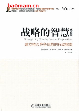 战略的智慧（经典版）-作者： [美]约翰 R.韦尔斯（John R.Wells）-PDF电子书