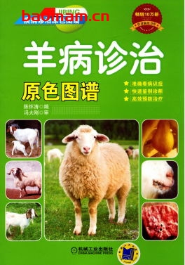 羊病诊治原色图谱-作者: 陈怀涛-PDF电子书 电子书 第1张-7B4电子书 羊病诊治原色图谱-作者: 陈怀涛-PDF电子书