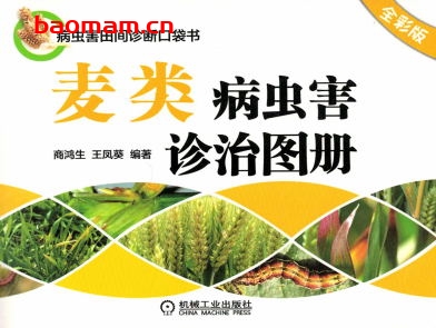 麦类病虫害诊治图册(全彩版)-作者: 商鸿生-PDF电子书 电子书 第1张-7B4电子书 麦类病虫害诊治图册(全彩版)-作者: 商鸿生-PDF电子书