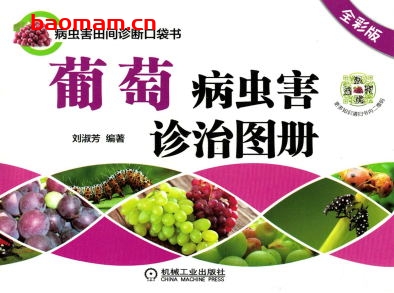 葡萄病虫害诊治图册（全彩版）-作者： 刘淑芳-PDF电子书