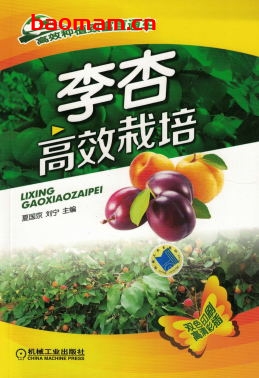 李杏高效栽培-作者: 夏国京-PDF电子书 电子书 第1张-7B4电子书 李杏高效栽培-作者: 夏国京-PDF电子书