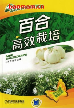百合高效栽培-作者： 马永吉 张宁-PDF电子书