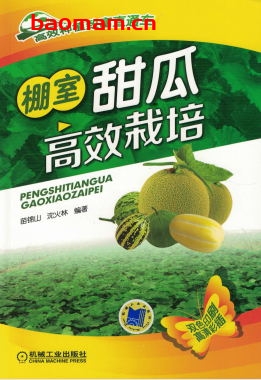 棚室甜瓜高效栽培-作者： 苗锦山 沈火林-PDF电子书