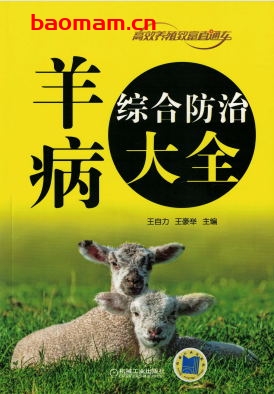 羊病综合防治大全-作者: 王自力-PDF电子书 电子书 第1张-7B4电子书 羊病综合防治大全-作者: 王自力-PDF电子书