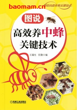 图说高效养中蜂关键技术-作者: 王瑞生-PDF电子书 电子书 第1张-7B4电子书 图说高效养中蜂关键技术-作者: 王瑞生-PDF电子书