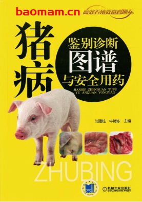 猪病鉴别诊断图谱与安全用药-作者： 刘建柱 牛绪东-PDF电子书