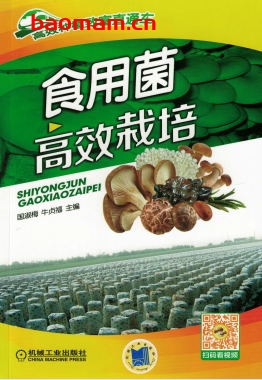 食用菌高效栽培-作者: 牛贞福-PDF电子书 电子书 第1张-7B4电子书 食用菌高效栽培-作者: 牛贞福-PDF电子书