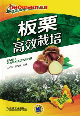 板栗高效栽培-作者: 王天元/安立春-PDF电子书 电子书 第1张-7B4电子书 板栗高效栽培-作者: 王天元/安立春-PDF电子书
