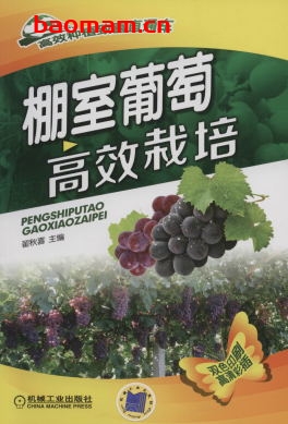 棚室葡萄高效栽培-作者: 翟秋喜-PDF电子书 电子书 第1张-7B4电子书 棚室葡萄高效栽培-作者: 翟秋喜-PDF电子书
