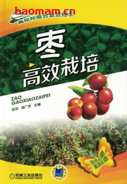 枣高效栽培-作者: 张琼-PDF电子书 电子书 第1张-7B4电子书 枣高效栽培-作者: 张琼-PDF电子书