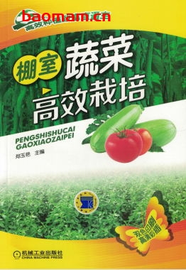 棚室蔬菜高效栽培-作者: 郑玉艳-PDF电子书 电子书 第1张-7B4电子书 棚室蔬菜高效栽培-作者: 郑玉艳-PDF电子书