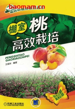 棚室蔬菜高效栽培-作者: 王国东-PDF电子书 电子书 第1张-7B4电子书 棚室蔬菜高效栽培-作者: 王国东-PDF电子书