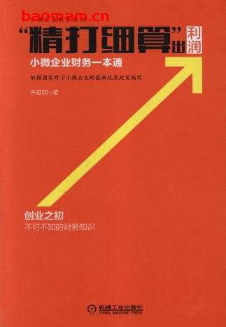 “精打细算”出利润_小微企业财务一本通-作者： 许延明-PDF电子书