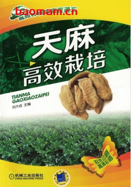 天麻高效栽培-作者: 刘大会-PDF电子书 电子书 第1张-7B4电子书 天麻高效栽培-作者: 刘大会-PDF电子书