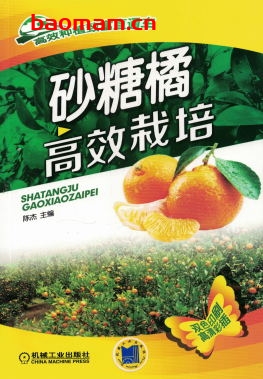 砂糖橘高效栽培-作者: 陈杰-PDF电子书 电子书 第1张-7B4电子书 砂糖橘高效栽培-作者: 陈杰-PDF电子书