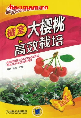 棚室大樱桃高效栽培-作者: 陈哲-PDF电子书 电子书 第1张-7B4电子书 棚室大樱桃高效栽培-作者: 陈哲-PDF电子书